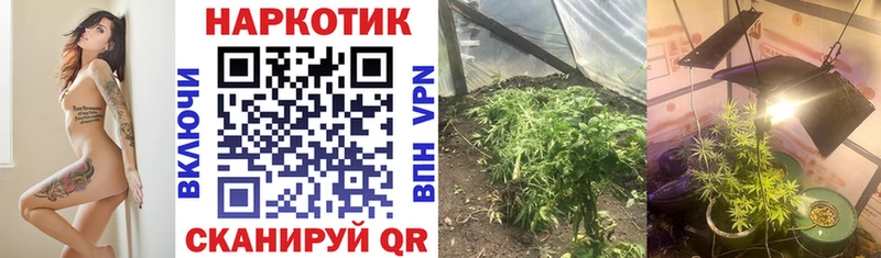 Купить наркотики Судак Гашиш  Alpha-PVP  Кокаин  Меф мяу мяу  Марихуана 