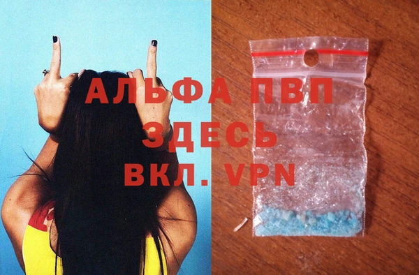 крисы Аркадак