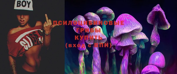 Альфа ПВП Арсеньев