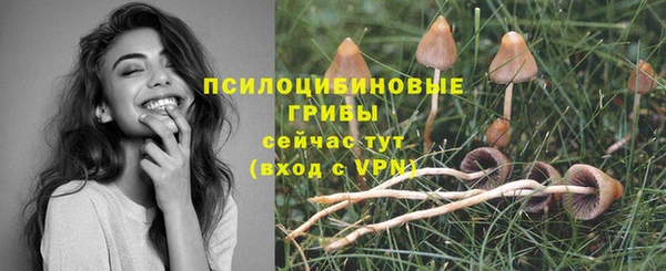 Альфа ПВП Арсеньев