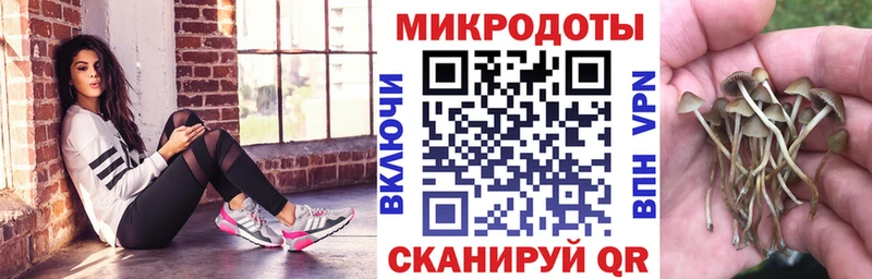 наркота  ОМГ ОМГ ТОР  Псилоцибиновые грибы мухоморы  нарко площадка телеграм  Судак 